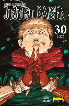 JUJUTSU KAISEN (30)