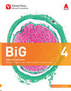 BIG 4 VALENCIA+ BIG 4 VALENCIA DOSSIER