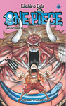 ONE PIECE 48
