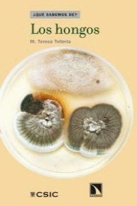 HONGOS