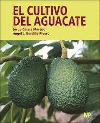 CULTIVO DEL AGUACATE