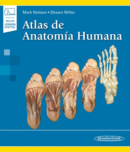 ATLAS DE ANATOM?A HUMANA+E