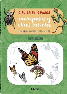 DIBUJAR MARIPOSAS Y OTROS INSECTOS EN 10 PASOS