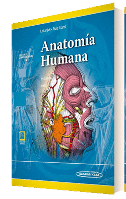ANATOM�A HUMANA 5ED. T-1+ (EBOOK)