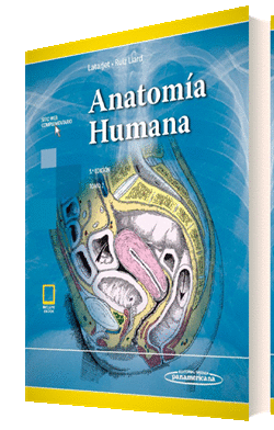 ANATOM�A HUMANA 5ED. T-2 + (EBOOK)