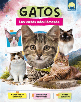 GATOS RAZAS MAS FAMOSAS
