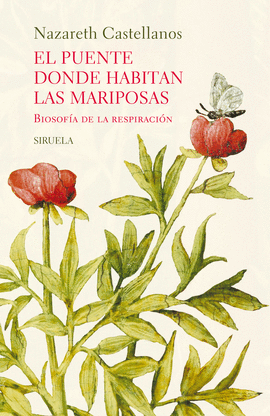 PUENTE DONDE HABITAN LAS MARIPOSAS