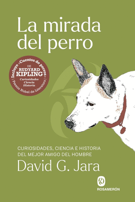 MIRADA DEL PERRO