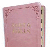 BIBLIA REINA VALERA 1960 SIMIL PIEL ROSADA TAMA�O MANUAL NOMBRES DE DIOS